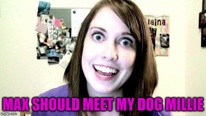 MAX SHOULD MEET MY DOG MILLIE | made w/ Imgflip meme maker