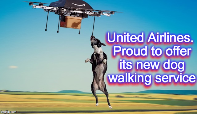 United Airlines. Proud to offer its new dog walking service; United Airlines. Proud to offer its new dog walking service | image tagged in united airlines,dog walking | made w/ Imgflip meme maker