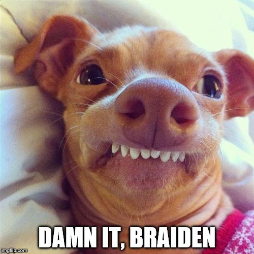 PHTEVEN | DAMN IT, BRAIDEN | image tagged in phteven | made w/ Imgflip meme maker