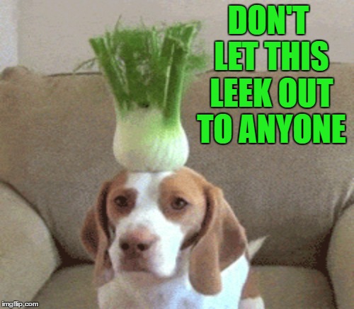 DON'T LET THIS LEEK OUT TO ANYONE | made w/ Imgflip meme maker