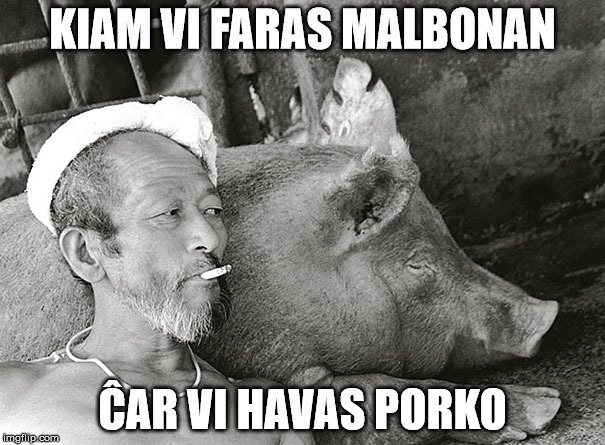KIAM VI FARAS MALBONAN; ĈAR VI HAVAS PORKO | made w/ Imgflip meme maker