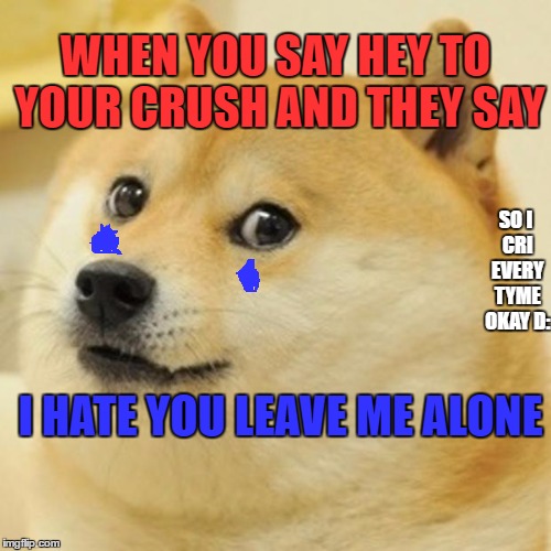 Doge | WHEN YOU SAY HEY TO YOUR CRUSH AND THEY SAY; SO I CRI EVERY TYME OKAY D:; I HATE YOU LEAVE ME ALONE | image tagged in memes,doge | made w/ Imgflip meme maker