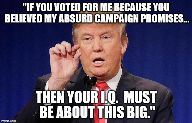 Bigger is always better. | "IF YOU VOTED FOR ME BECAUSE YOU BELIEVED MY ABSURD CAMPAIGN PROMISES... THEN YOUR I.Q.  MUST BE ABOUT THIS BIG." | image tagged in donald trump,nevertrump meme | made w/ Imgflip meme maker