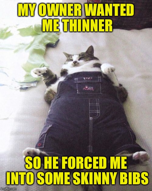 MY OWNER WANTED ME THINNER SO HE FORCED ME INTO SOME SKINNY BIBS | made w/ Imgflip meme maker