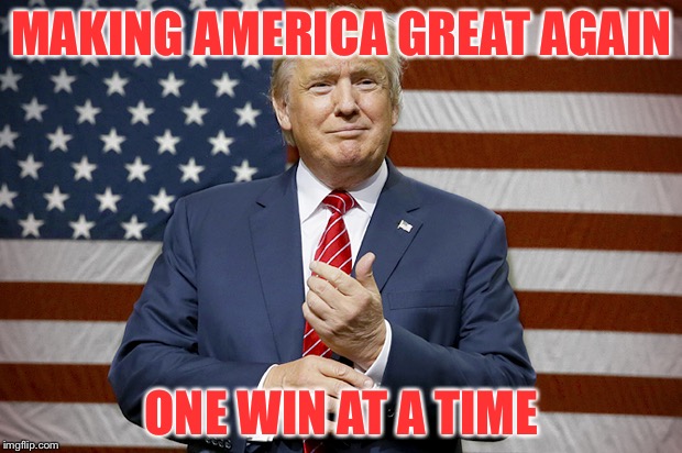 donald trump flag | MAKING AMERICA GREAT AGAIN; ONE WIN AT A TIME | image tagged in donald trump flag | made w/ Imgflip meme maker