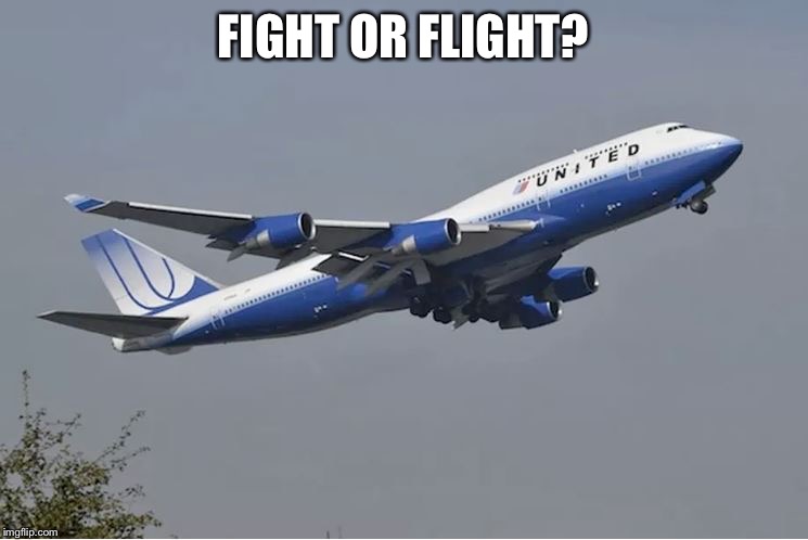 United Airlines | FIGHT OR FLIGHT? | image tagged in united airlines | made w/ Imgflip meme maker