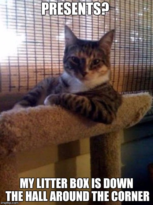 The Most Interesting Cat In The World Meme | PRESENTS? MY LITTER BOX IS DOWN THE HALL AROUND THE CORNER | image tagged in memes,the most interesting cat in the world | made w/ Imgflip meme maker