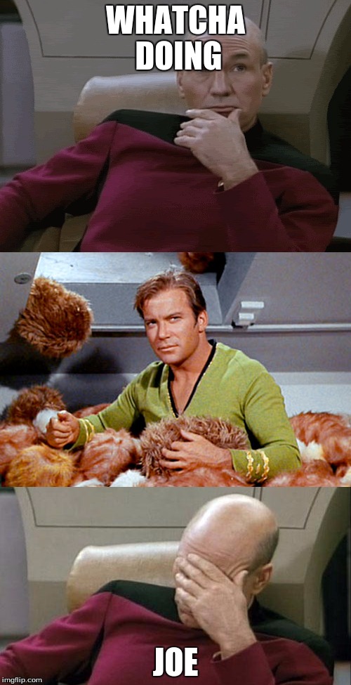 Picard Kirk Tribbles Faceplant | WHATCHA DOING; JOE | image tagged in picard kirk tribbles faceplant | made w/ Imgflip meme maker