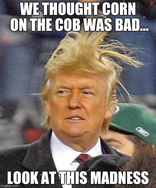 Donald Trumph hair | WE THOUGHT CORN ON THE COB WAS BAD... LOOK AT THIS MADNESS | image tagged in donald trumph hair,scumbag | made w/ Imgflip meme maker