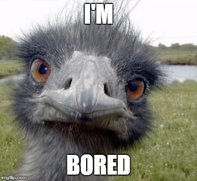 ostrich | I'M; BORED | image tagged in ostrich | made w/ Imgflip meme maker