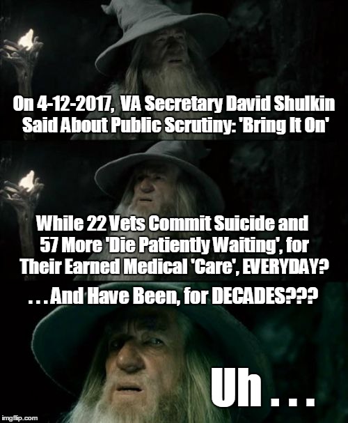 Confused Gandalf Meme | On 4-12-2017,  VA Secretary David Shulkin Said About Public Scrutiny: 'Bring It On'; While 22 Vets Commit Suicide and 57 More 'Die Patiently Waiting', for Their Earned Medical 'Care', EVERYDAY? . . . And Have Been, for DECADES??? Uh . . . | image tagged in memes,confused gandalf | made w/ Imgflip meme maker