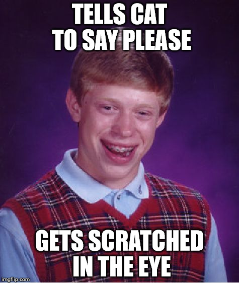 Bad Luck Brian Meme | TELLS CAT TO SAY PLEASE GETS SCRATCHED IN THE EYE | image tagged in memes,bad luck brian | made w/ Imgflip meme maker