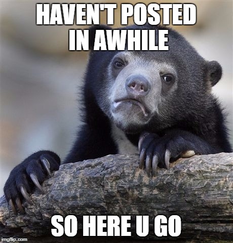 lone | HAVEN'T POSTED IN AWHILE; SO HERE U GO | image tagged in memes,confession bear | made w/ Imgflip meme maker