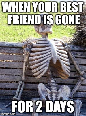 Waiting Skeleton Meme | WHEN YOUR BEST FRIEND IS GONE; FOR 2 DAYS | image tagged in memes,waiting skeleton | made w/ Imgflip meme maker