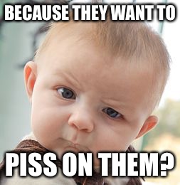 Skeptical Baby Meme | BECAUSE THEY WANT TO PISS ON THEM? | image tagged in memes,skeptical baby | made w/ Imgflip meme maker
