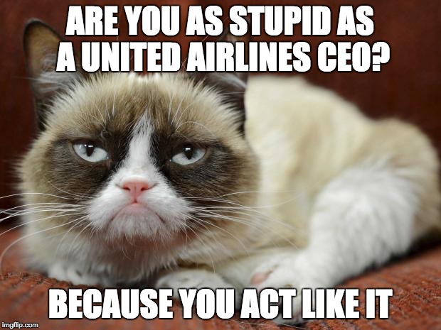 grumpy cat laying | ARE YOU AS STUPID AS A UNITED AIRLINES CEO? BECAUSE YOU ACT LIKE IT | image tagged in grumpy cat laying | made w/ Imgflip meme maker