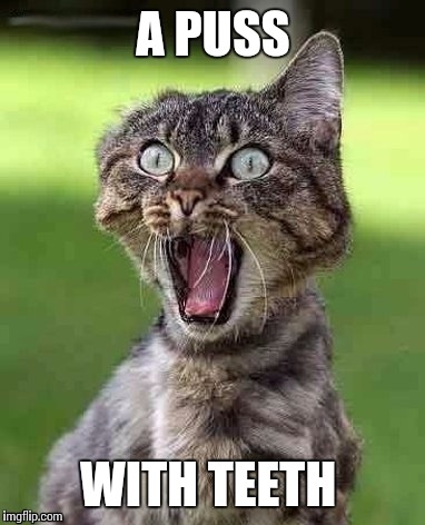A PUSS WITH TEETH | made w/ Imgflip meme maker