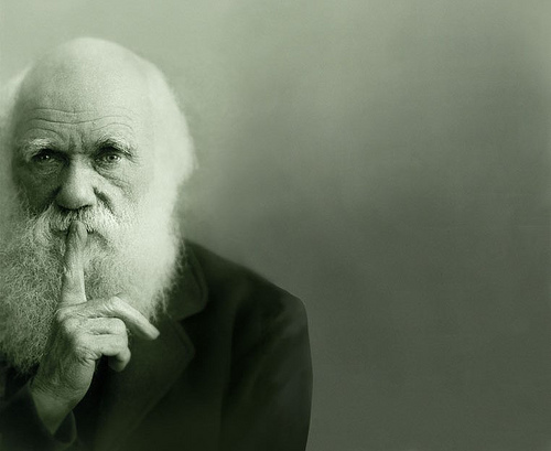 Darwin  Blank Meme Template
