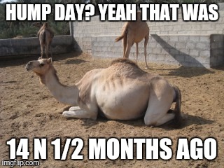 HUMP DAY? YEAH THAT WAS 14 N 1/2 MONTHS AGO | made w/ Imgflip meme maker