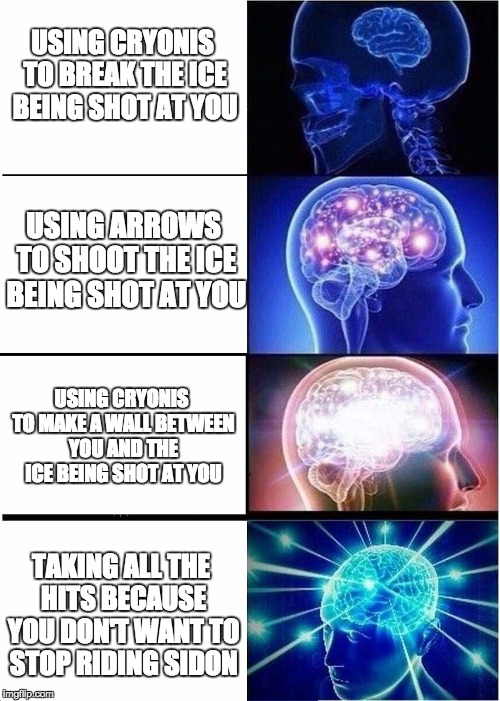 Breath of the Wild's Vah Ruta Battle | USING CRYONIS TO BREAK THE ICE BEING SHOT AT YOU; USING ARROWS TO SHOOT THE ICE BEING SHOT AT YOU; USING CRYONIS TO MAKE A WALL BETWEEN YOU AND THE ICE BEING SHOT AT YOU; TAKING ALL THE HITS BECAUSE YOU DON'T WANT TO STOP RIDING SIDON | image tagged in expanding brain | made w/ Imgflip meme maker