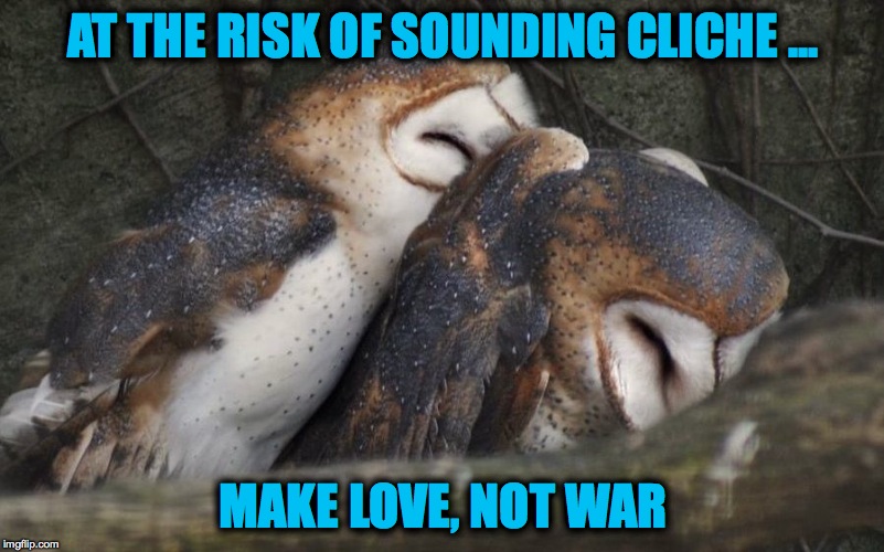 AT THE RISK OF SOUNDING CLICHE ... MAKE LOVE, NOT WAR | made w/ Imgflip meme maker
