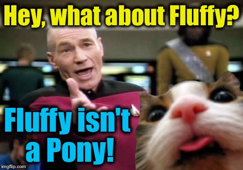 Hey, what about Fluffy? Fluffy isn't a Pony! | made w/ Imgflip meme maker