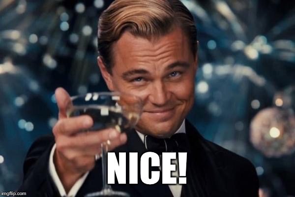 Leonardo Dicaprio Cheers Meme | NICE! | image tagged in memes,leonardo dicaprio cheers | made w/ Imgflip meme maker