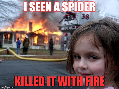 Disaster Girl | I SEEN A SPIDER; KILLED IT WITH FIRE | image tagged in memes,disaster girl | made w/ Imgflip meme maker