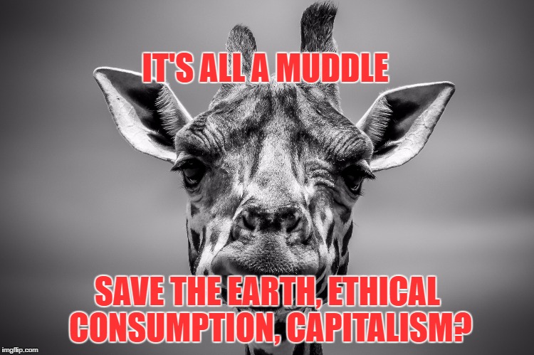 IT'S ALL A MUDDLE; SAVE THE EARTH, ETHICAL CONSUMPTION, CAPITALISM? | image tagged in ethical consumption,capitalism,confusion,save the earth,sustainability | made w/ Imgflip meme maker