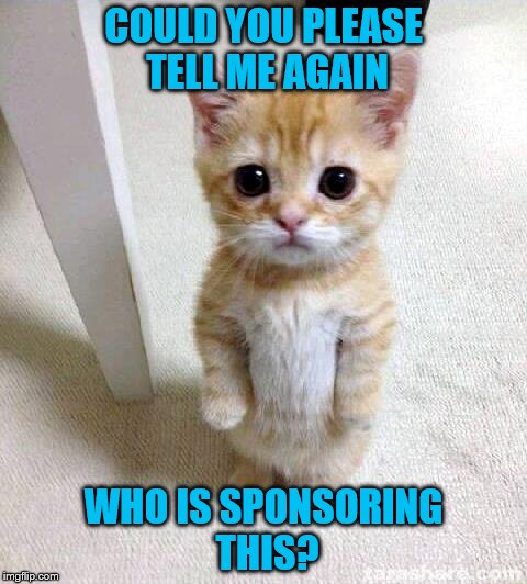 COULD YOU PLEASE TELL ME AGAIN WHO IS SPONSORING THIS? | made w/ Imgflip meme maker