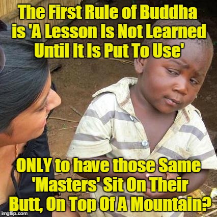 Third World Skeptical Kid Meme | The First Rule of Buddha is 'A Lesson Is Not Learned Until It Is Put To Use'; ONLY to have those Same 'Masters' Sit On Their Butt, On Top Of A Mountain? | image tagged in memes,third world skeptical kid | made w/ Imgflip meme maker