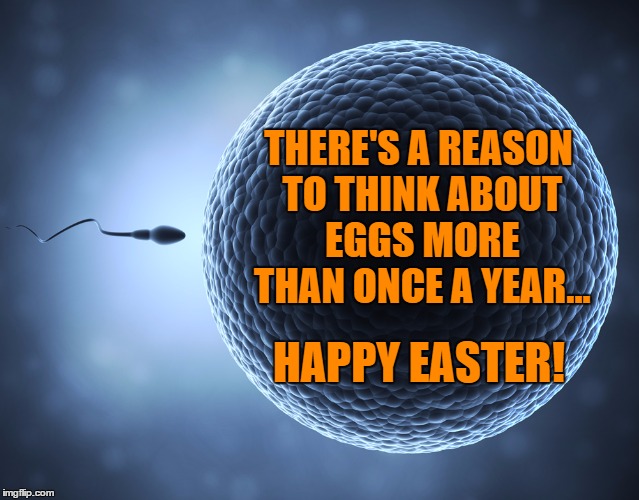 Sperm and Egg | THERE'S A REASON TO THINK ABOUT EGGS MORE THAN ONCE A YEAR... HAPPY EASTER! | image tagged in sperm and egg | made w/ Imgflip meme maker