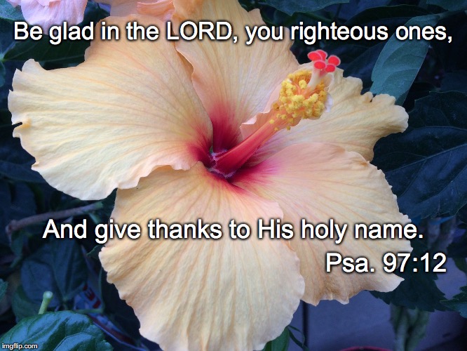 Be glad in the LORD, you righteous ones, And give thanks to His holy name. Psa. 97:12 | image tagged in glad | made w/ Imgflip meme maker