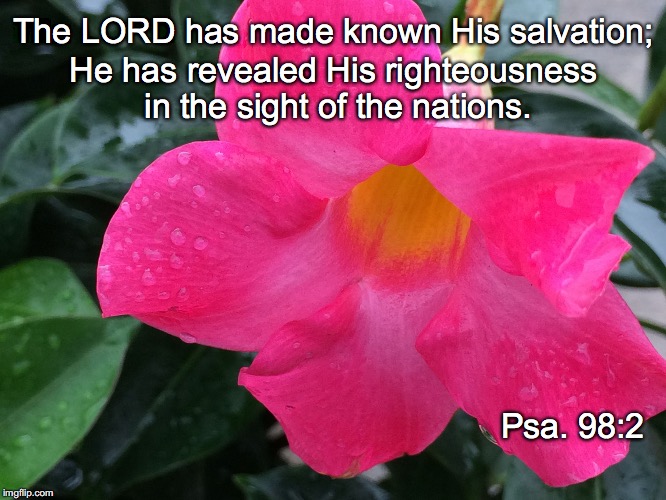 The LORD has made known His salvation;; He has revealed His righteousness in the sight of the nations. Psa. 98:2 | image tagged in known | made w/ Imgflip meme maker