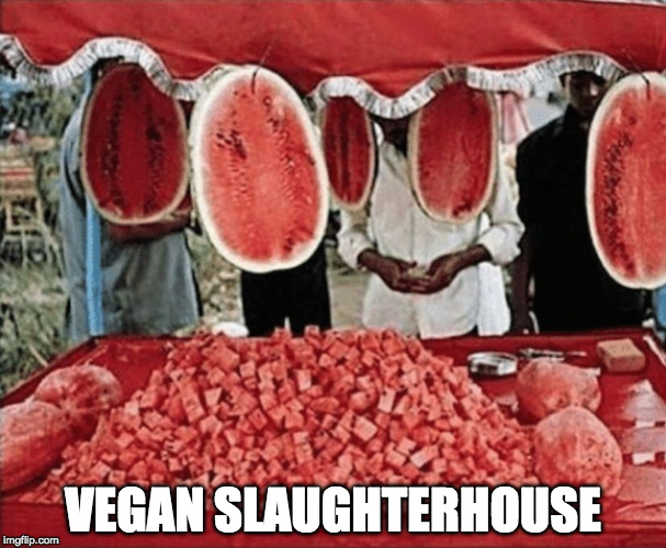 Those animals!  | VEGAN SLAUGHTERHOUSE | image tagged in watermelons,vegan,slaughter,slaughter house,bacon | made w/ Imgflip meme maker