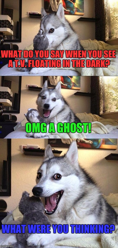 What were you thinking? | WHAT DO YOU SAY WHEN YOU SEE A T.V. FLOATING IN THE DARK? OMG A GHOST! WHAT WERE YOU THINKING? | image tagged in memes,bad pun dog,funny | made w/ Imgflip meme maker