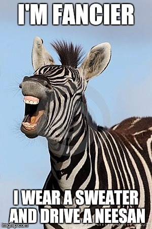 Laughing Zebra | I'M FANCIER; I WEAR A SWEATER AND DRIVE A NEESAN | image tagged in laughing zebra | made w/ Imgflip meme maker