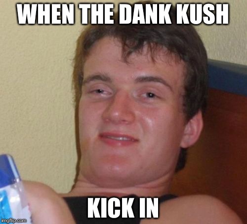 10 Guy | WHEN THE DANK KUSH; KICK IN | image tagged in memes,10 guy | made w/ Imgflip meme maker