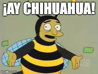 Bumblebee Man | ¡AY CHIHUAHUA! | image tagged in bumblebee man | made w/ Imgflip meme maker