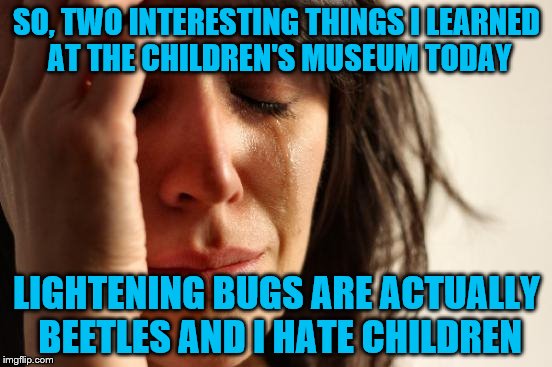 One out of two isn't too bad, is it? | SO, TWO INTERESTING THINGS I LEARNED AT THE CHILDREN'S MUSEUM TODAY; LIGHTENING BUGS ARE ACTUALLY BEETLES AND I HATE CHILDREN | image tagged in memes,first world problems | made w/ Imgflip meme maker