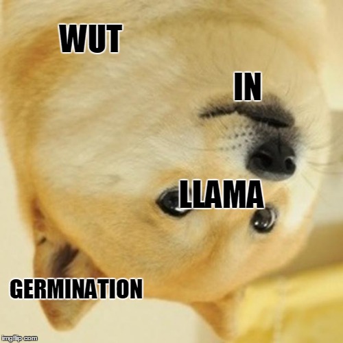 Doge Meme | WUT; IN; LLAMA; GERMINATION | image tagged in memes,doge | made w/ Imgflip meme maker