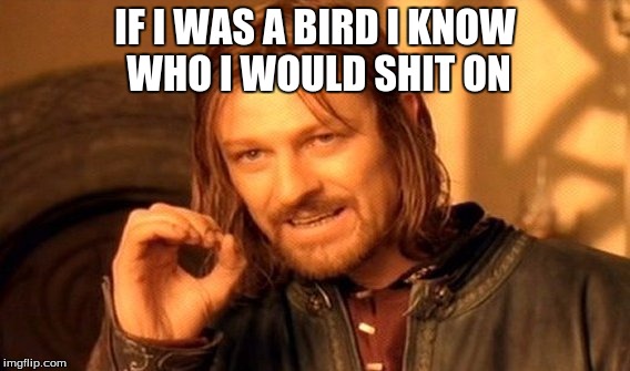 One Does Not Simply Meme | IF I WAS A BIRD I KNOW WHO I WOULD SHIT ON | image tagged in memes,one does not simply | made w/ Imgflip meme maker