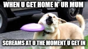 >:( | WHEN U GET HOME N' UR MUM; SCREAMS AT U THE MOMENT U GET IN | image tagged in memes,doge,funny,funny memes,funny meme,one does not simply | made w/ Imgflip meme maker