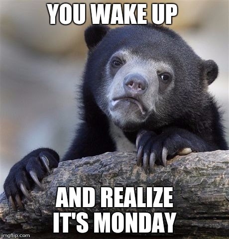 Confession Bear Meme | YOU WAKE UP; AND REALIZE IT'S MONDAY | image tagged in memes,confession bear | made w/ Imgflip meme maker