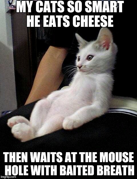 Relaxed cat | MY CATS SO SMART HE EATS CHEESE; THEN WAITS AT THE MOUSE HOLE WITH BAITED BREATH | image tagged in relaxed cat | made w/ Imgflip meme maker