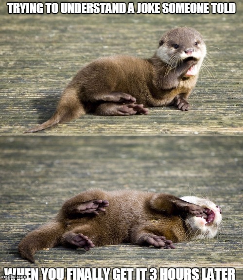 TRYING TO UNDERSTAND A JOKE SOMEONE TOLD; WHEN YOU FINALLY GET IT 3 HOURS LATER | image tagged in otter,joke | made w/ Imgflip meme maker