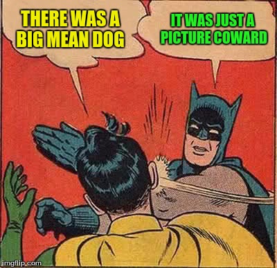 Batman Slapping Robin Meme | THERE WAS A BIG MEAN DOG IT WAS JUST A PICTURE COWARD | image tagged in memes,batman slapping robin | made w/ Imgflip meme maker