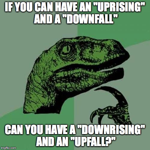 Really makes you think |  IF YOU CAN HAVE AN "UPRISING" AND A "DOWNFALL"; CAN YOU HAVE A "DOWNRISING" AND AN "UPFALL?" | image tagged in memes,philosoraptor,raydog,lol,trump,united airlines | made w/ Imgflip meme maker