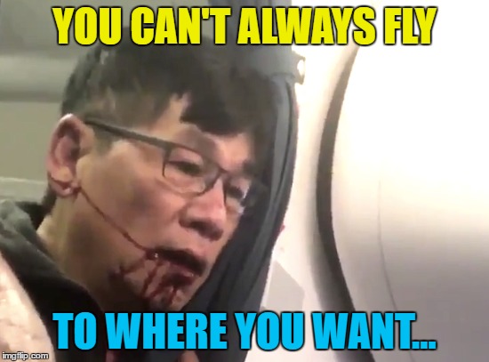 YOU CAN'T ALWAYS FLY TO WHERE YOU WANT... | made w/ Imgflip meme maker