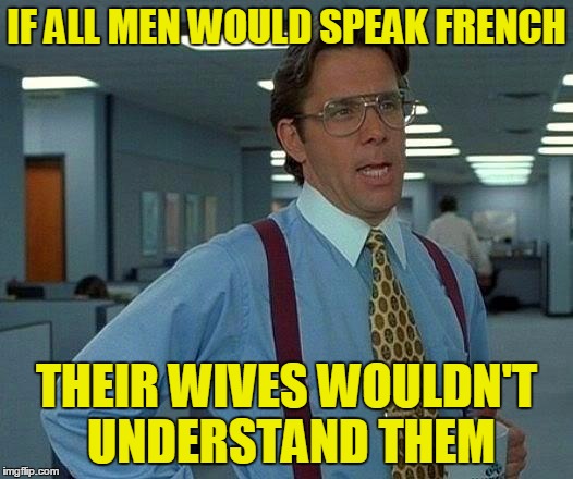 That Would Be Great Meme | IF ALL MEN WOULD SPEAK FRENCH THEIR WIVES WOULDN'T UNDERSTAND THEM | image tagged in memes,that would be great | made w/ Imgflip meme maker